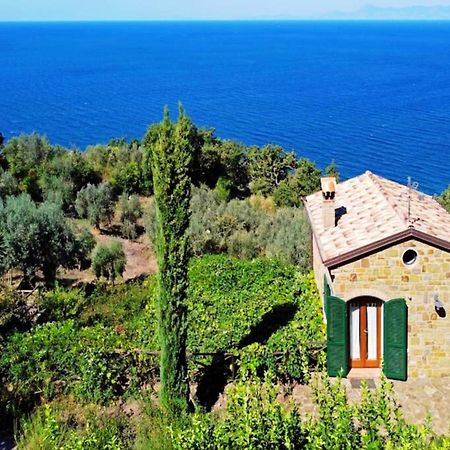 Bellezza In Cilento Panoramic Apts Castellabate Bagian luar foto