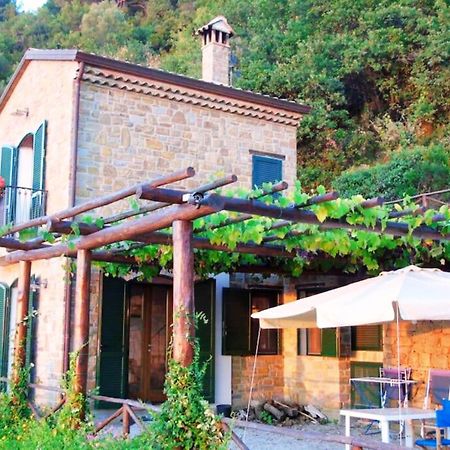 Bellezza In Cilento Panoramic Apts Castellabate Bagian luar foto