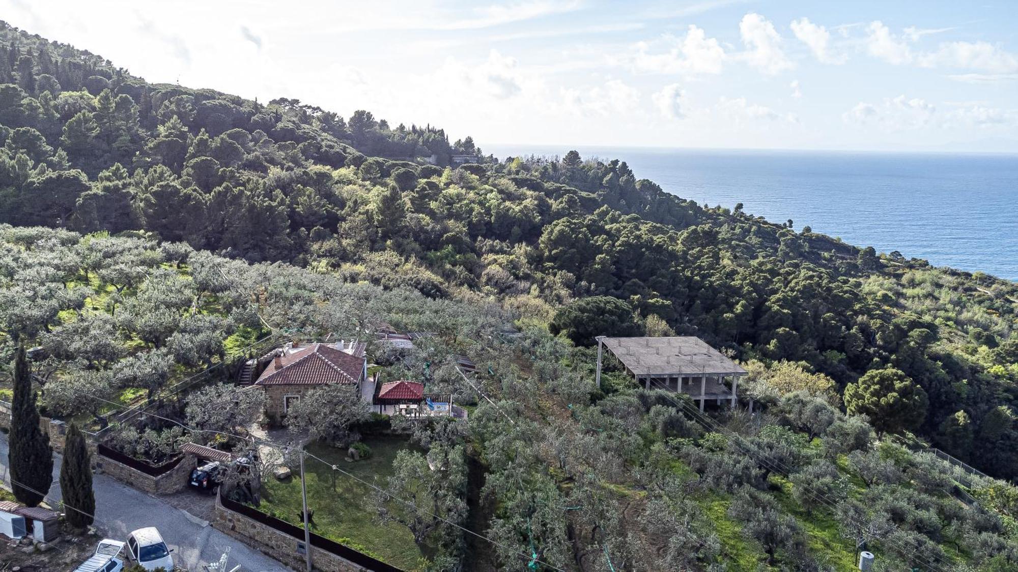 Bellezza In Cilento Panoramic Apts Castellabate Bagian luar foto