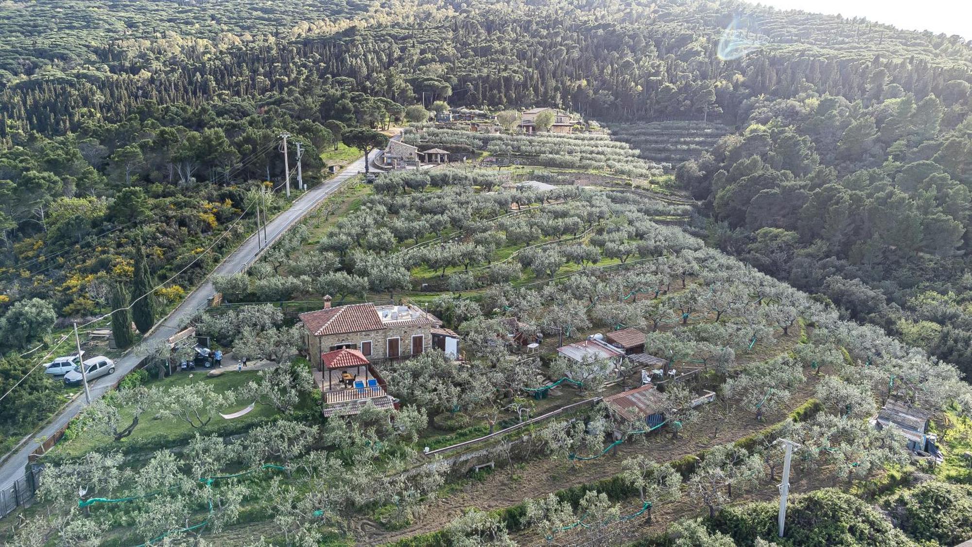 Bellezza In Cilento Panoramic Apts Castellabate Bagian luar foto