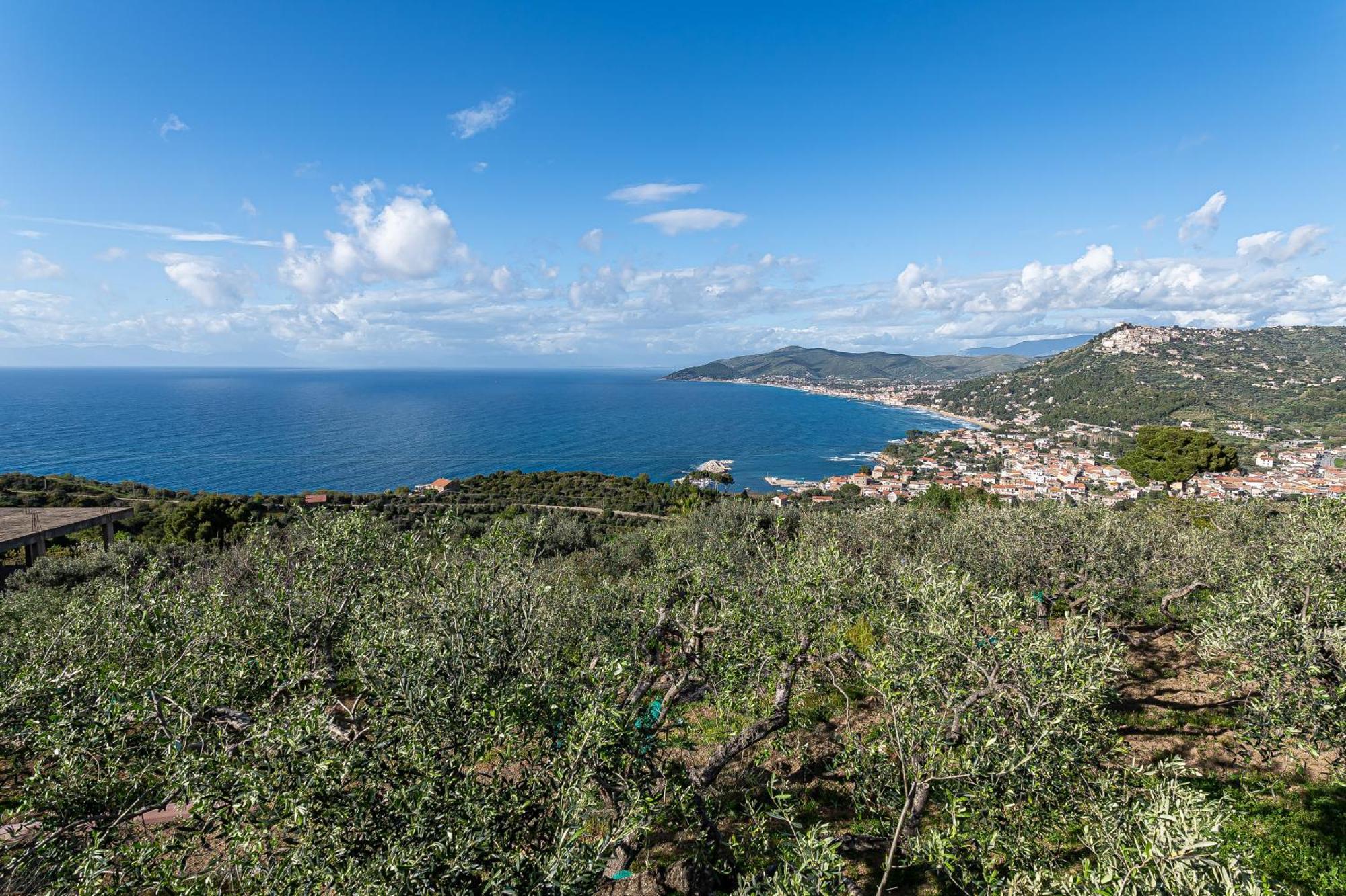 Bellezza In Cilento Panoramic Apts Castellabate Bagian luar foto