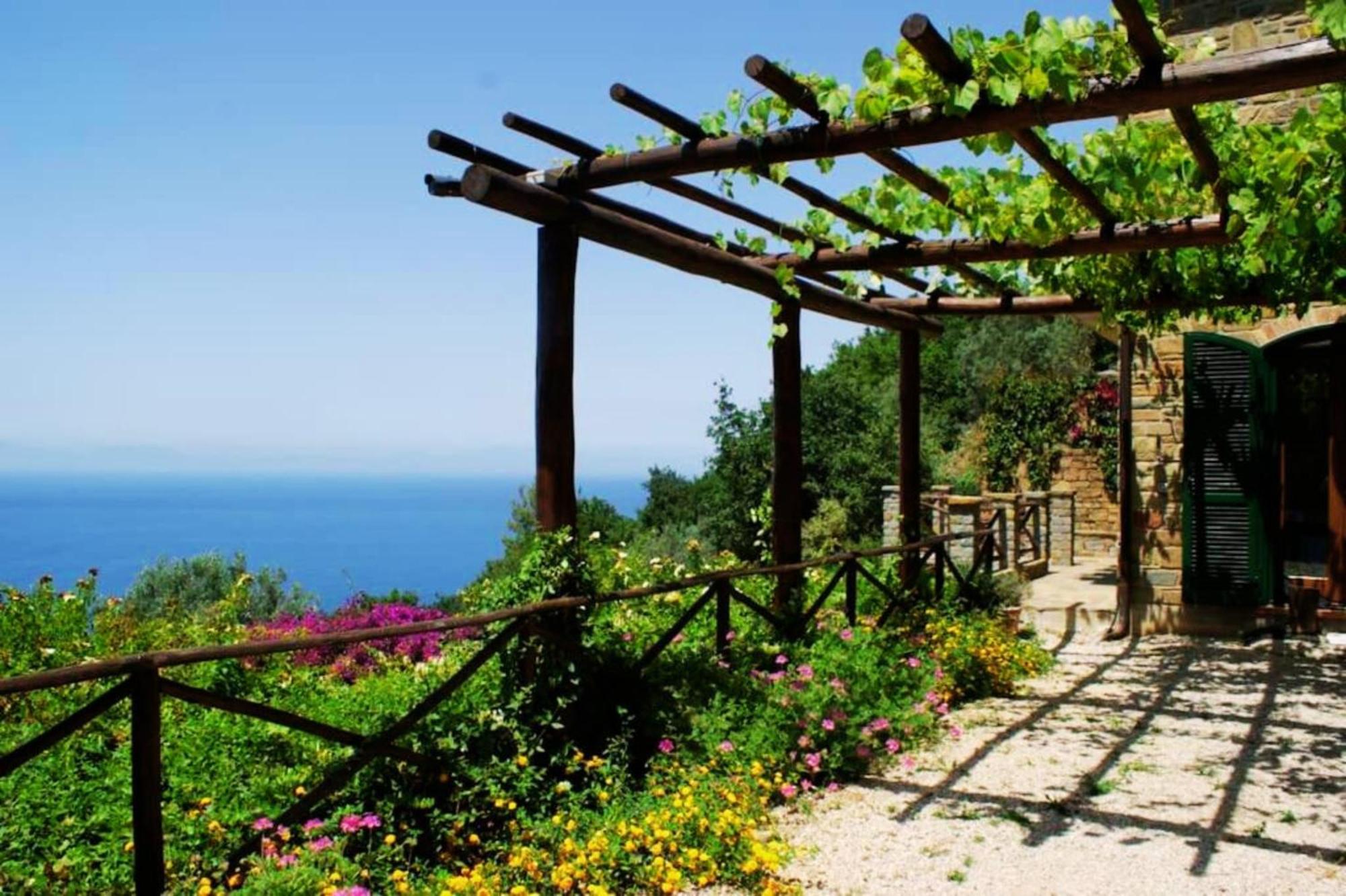Bellezza In Cilento Panoramic Apts Castellabate Bagian luar foto