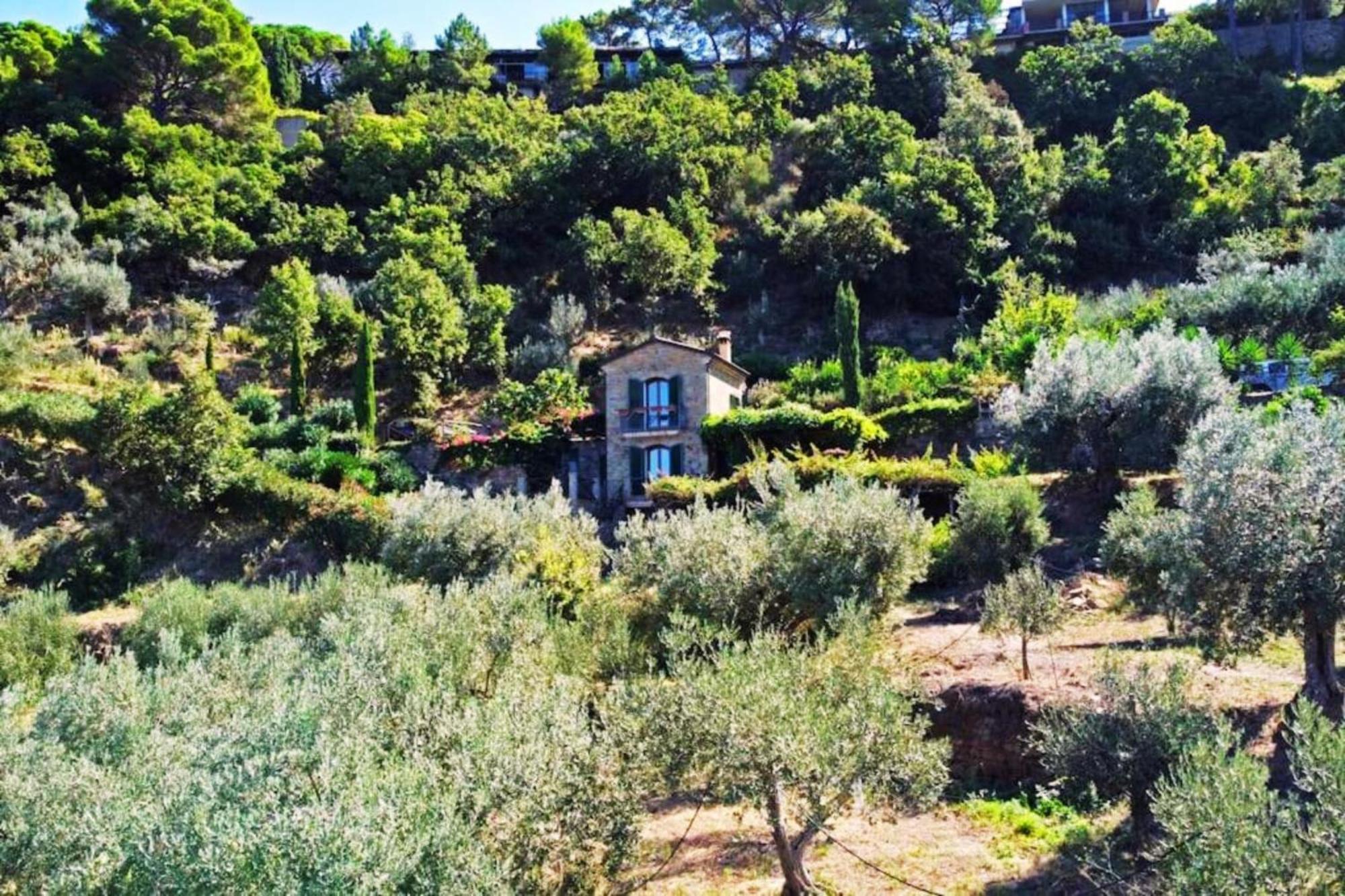 Bellezza In Cilento Panoramic Apts Castellabate Bagian luar foto